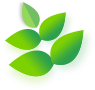 A minimalist light green hand-drawn leaf illustration featuring soft shading and a natural, artistic texture on a white background.